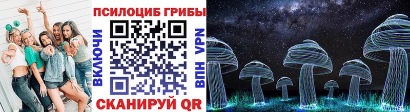 Галлюциногенные грибы Psilocybine cubensis  Купить где  Комсомольск-на-Амуре 